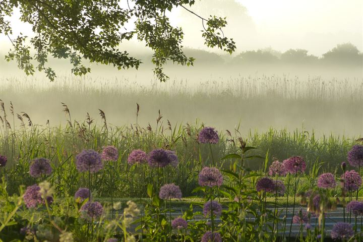 Bekijk foto 41 van Hollandse Hout 348