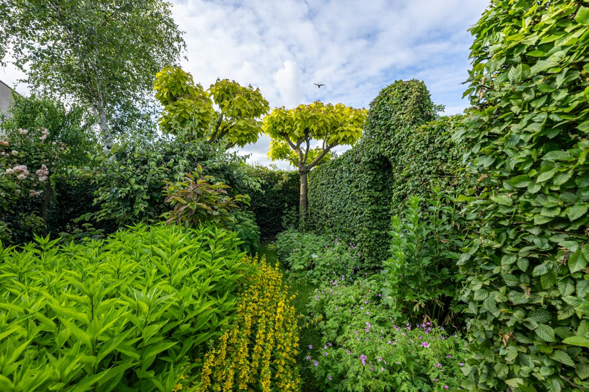 Foto 54 van Prins Bernhardlaan 145