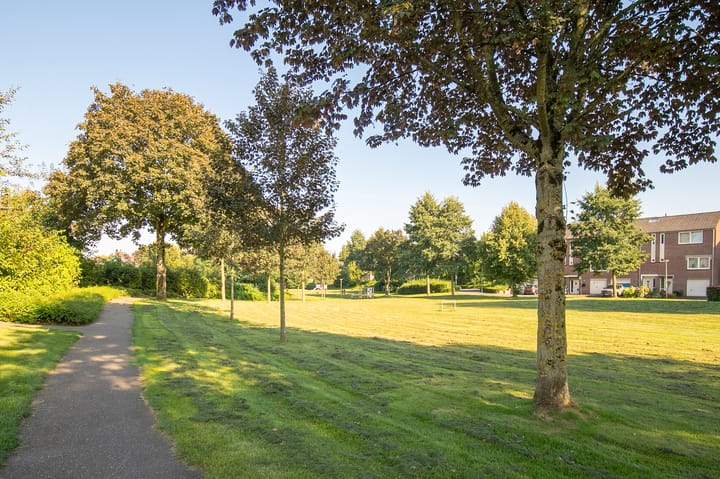 Foto 24 van Leemkoel 16