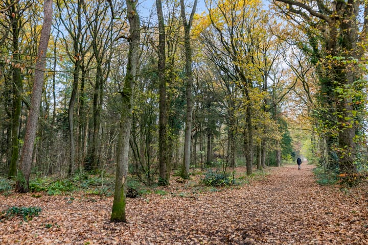 Foto 36 van Het Slag 1