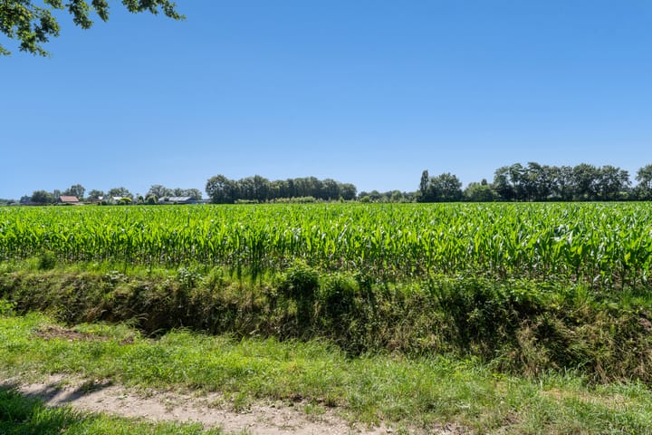 Photo 80 of Korte Bunder 12