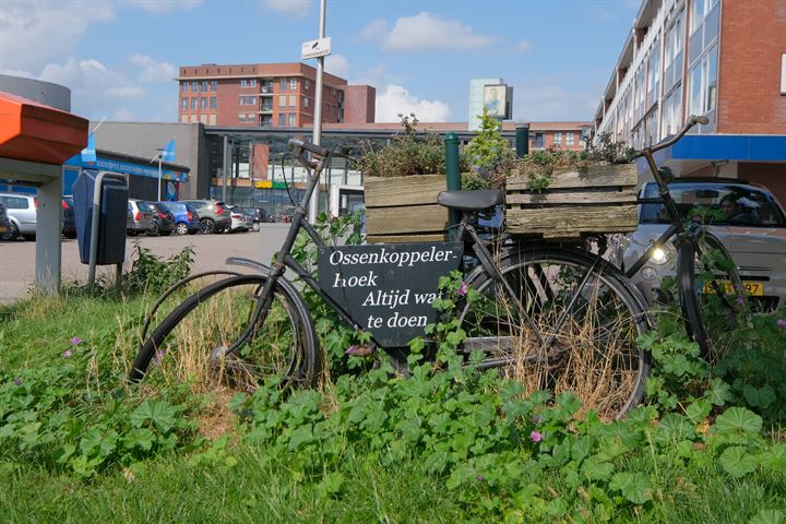 Bekijk foto 19 van Johan Jongkindstraat 59