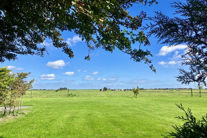 Bekijk foto 30 van Rijperweg 6