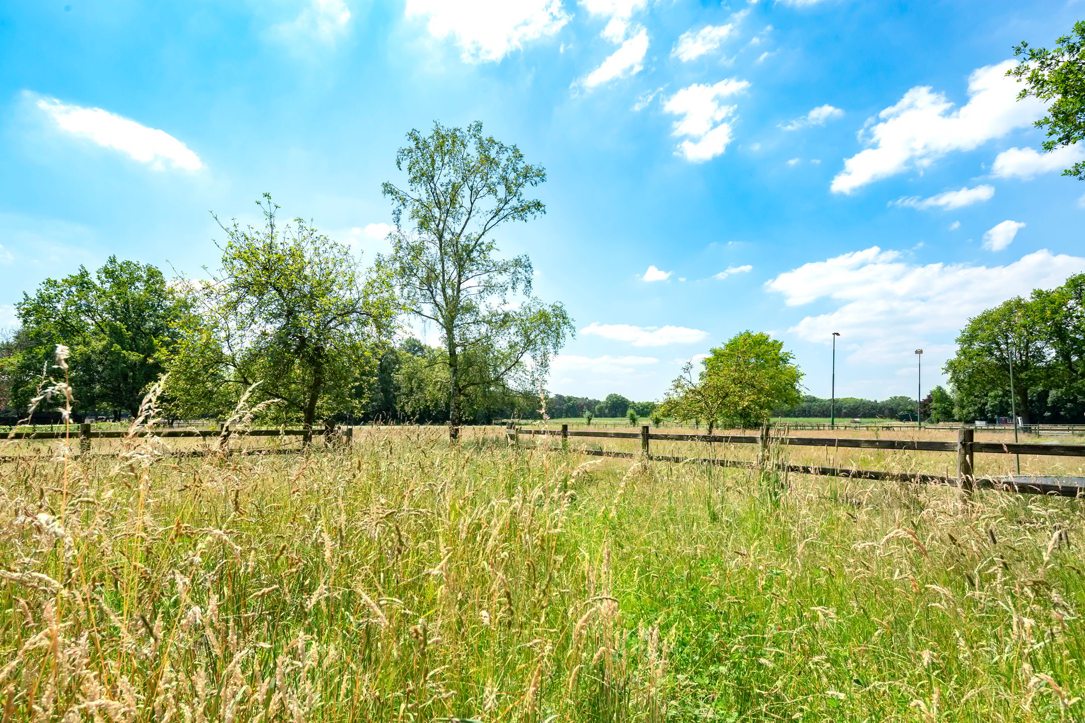 Foto 39 van Nieuwkuikseweg 14