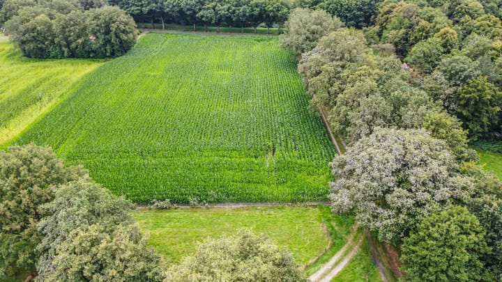 Foto 7 van Bruchterbeekweg