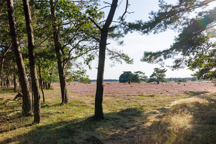 Bekijk foto 33 van Dorotheagaarde 40