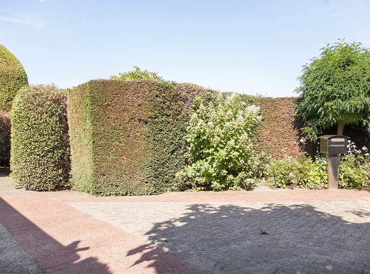 Foto 6 van Tolhuislaan 113