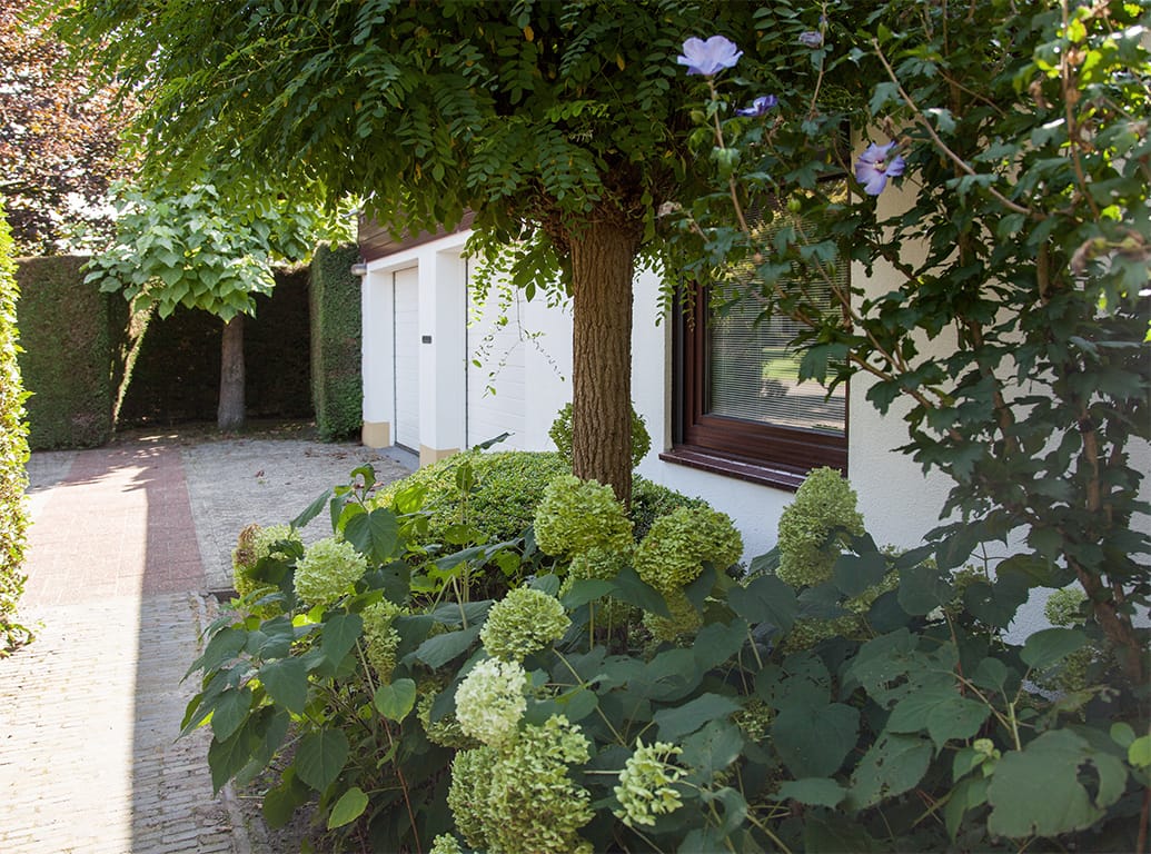 Foto 8 van Tolhuislaan 113