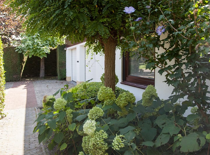 Foto 8 van Tolhuislaan 113