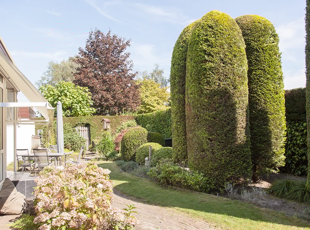 Foto 55 van Tolhuislaan 113