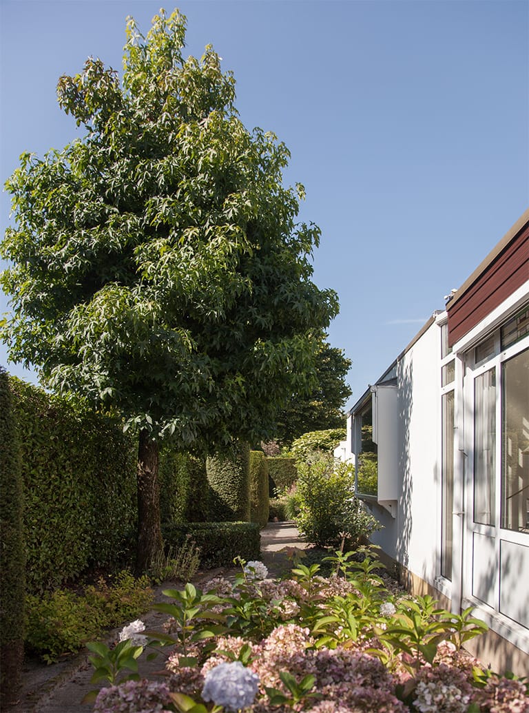 Foto 59 van Tolhuislaan 113