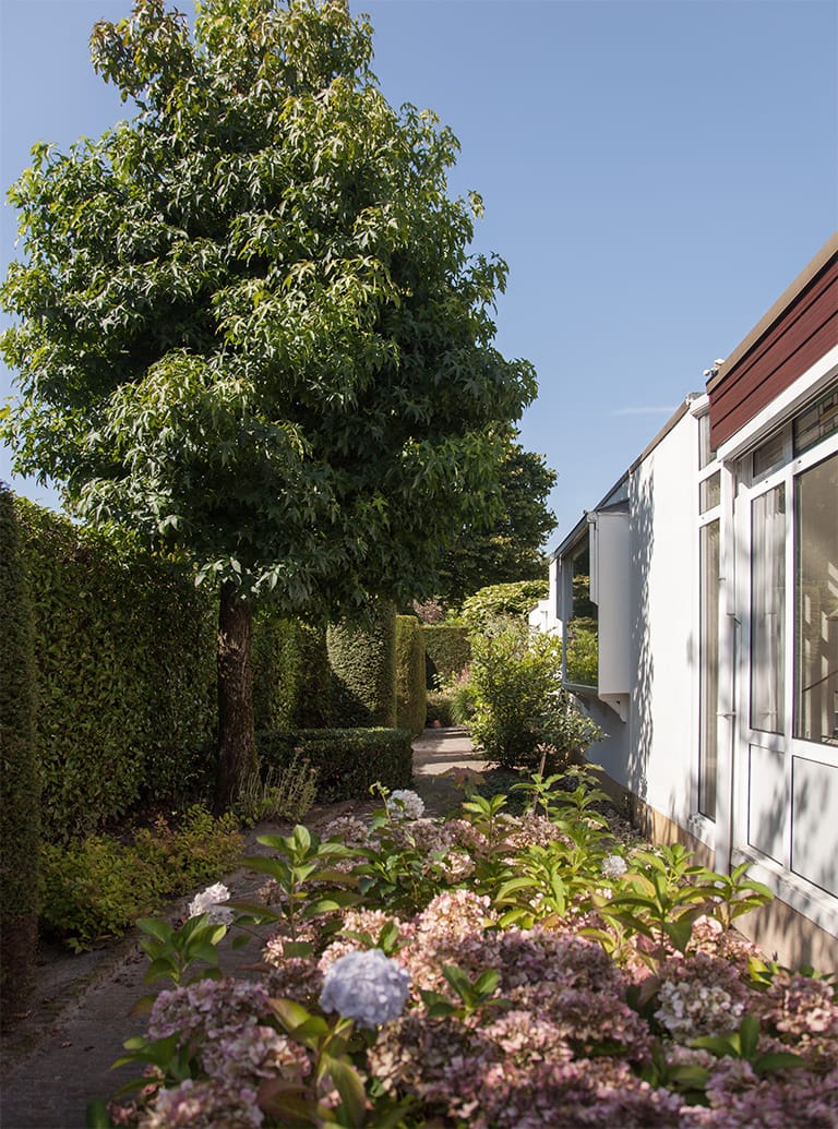 Foto 60 van Tolhuislaan 113