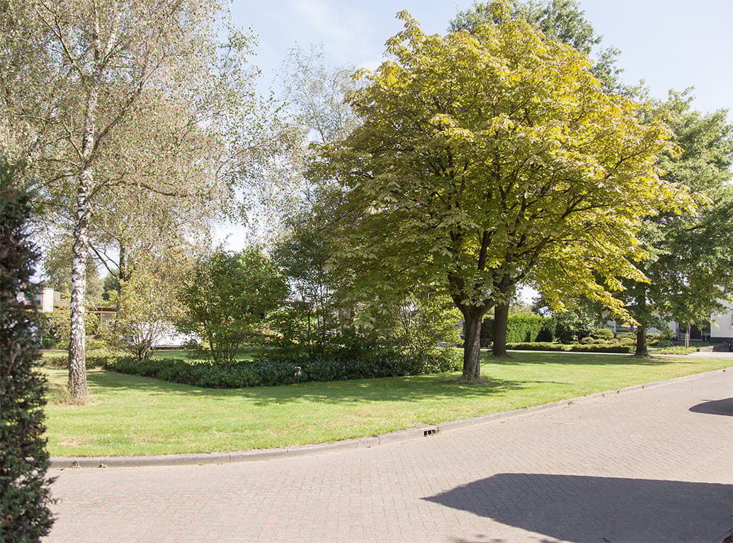 Foto 65 van Tolhuislaan 113