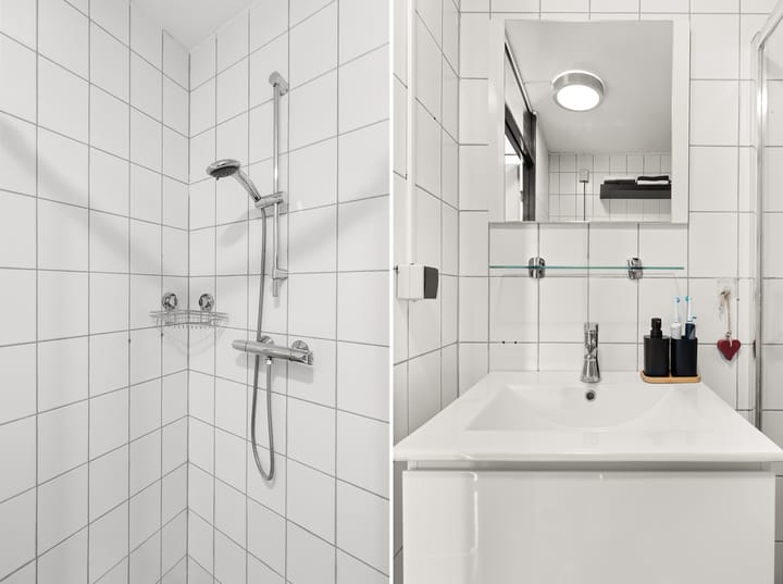 Foto 24 van Kanariesprenk 257