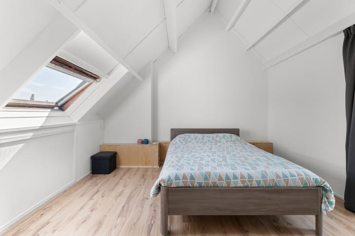 Foto 25 van Kanariesprenk 257