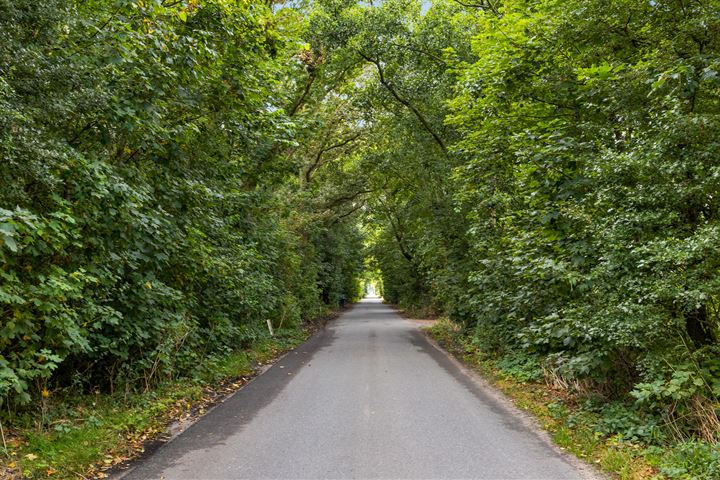 Bekijk foto 40 van Korte Ruigeweg 12