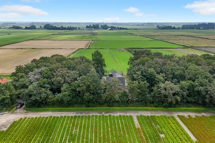 Bekijk foto 46 van Korte Ruigeweg 12