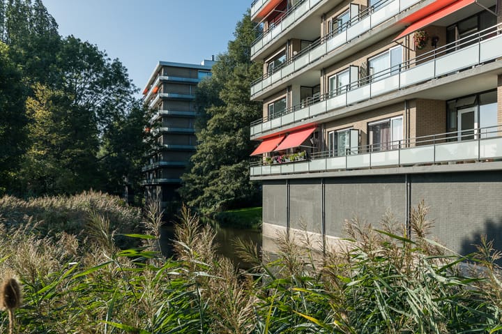 Foto 2 van Rio Grande 16