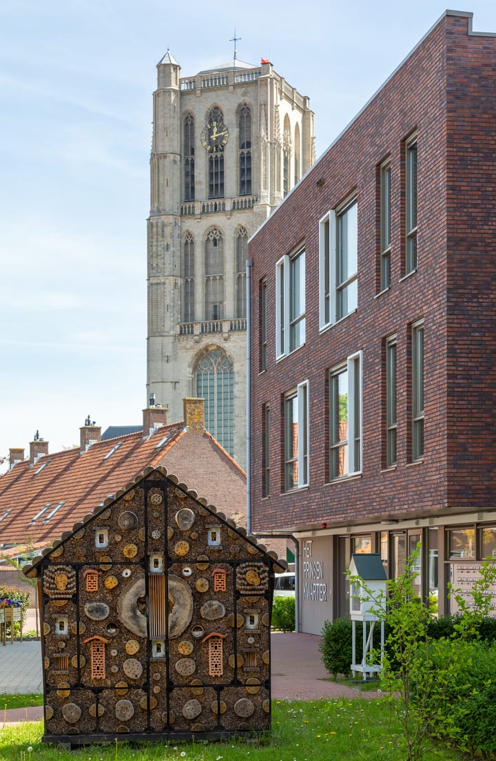 Foto 4 van Catharinahof