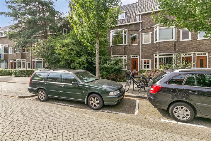 Bekijk foto 30 van Duizendschoonstraat 21-C