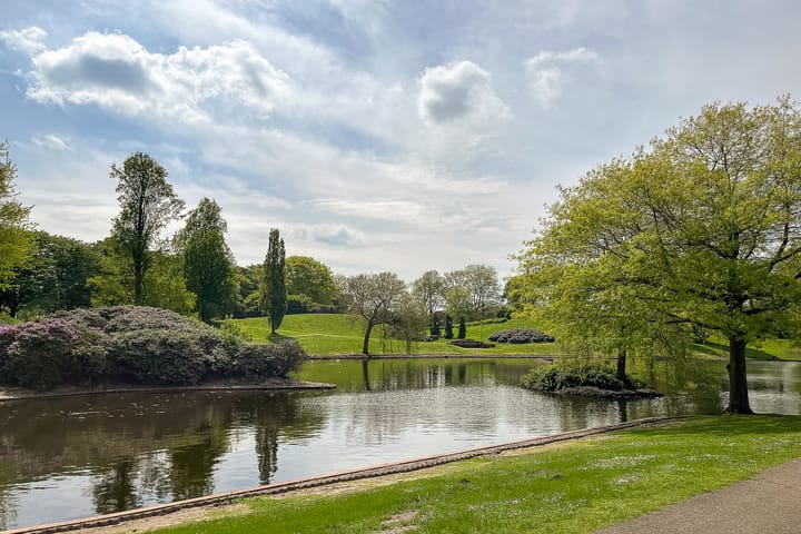 Foto 40 van Alexanderlaan 1