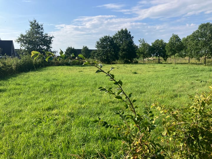 Foto 2 van Zwartebessenstraat