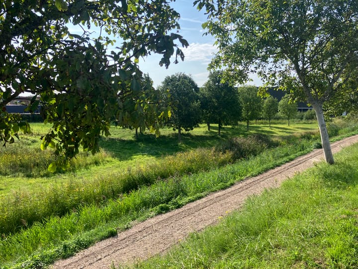 Foto 3 van Zwartebessenstraat