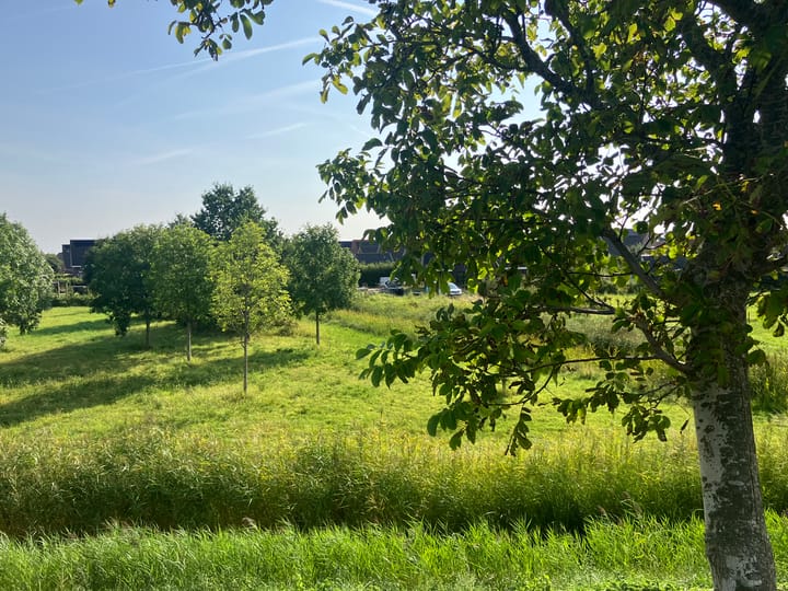 Foto 4 van Zwartebessenstraat