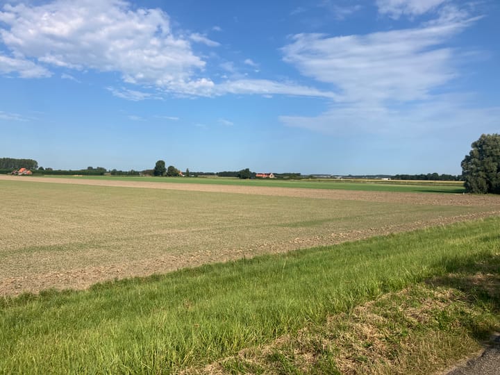 Foto 5 van Zwartebessenstraat