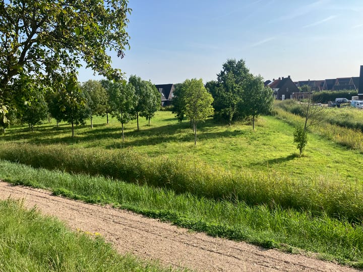 Foto 6 van Zwartebessenstraat