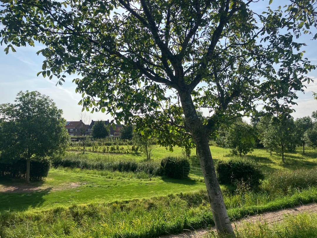 Photo 7 of Zwartebessenstraat