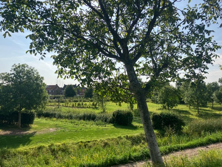 Foto 7 van Zwartebessenstraat