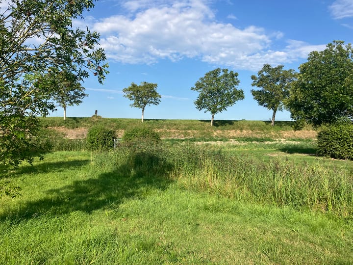 Foto 9 van Zwartebessenstraat