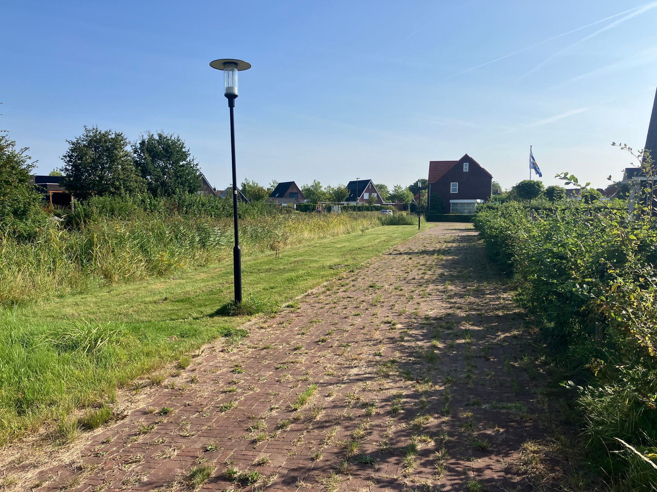 Photo 12 of Zwartebessenstraat