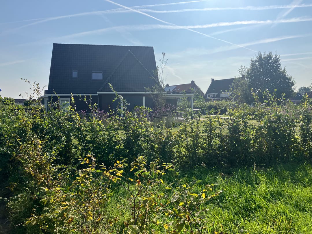 Photo 13 of Zwartebessenstraat