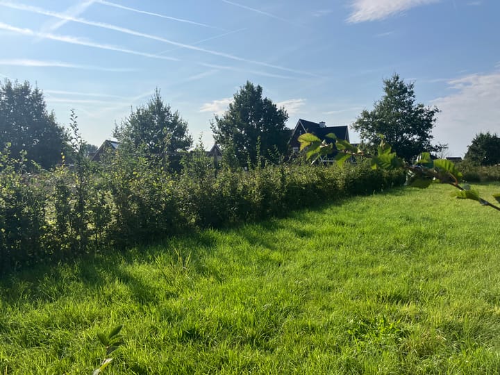 Foto 14 van Zwartebessenstraat