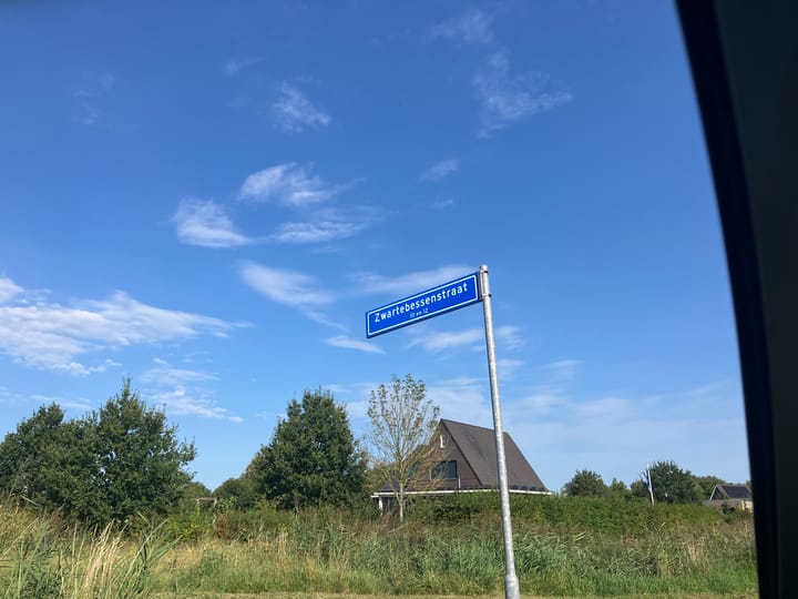 Foto 17 van Zwartebessenstraat