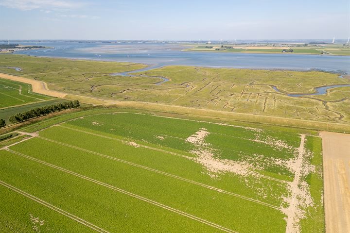 Bekijk foto 89 van Hollaereweg 11