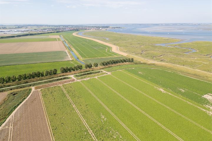 Bekijk foto 90 van Hollaereweg 11