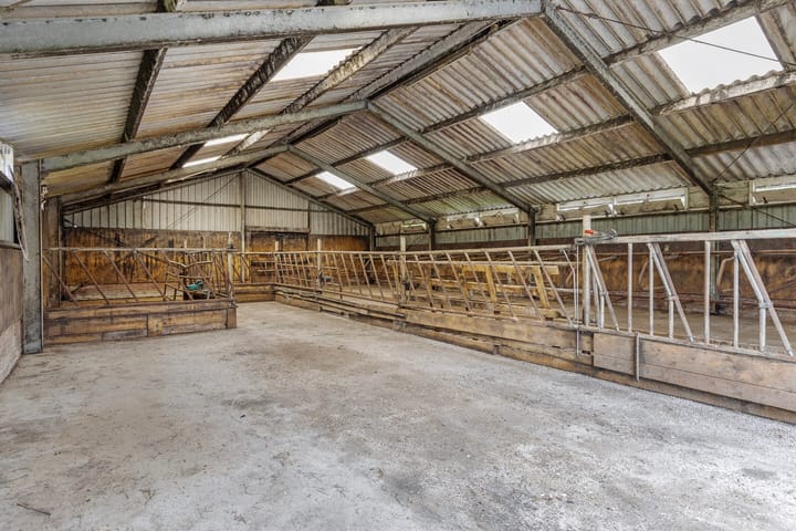 Foto 30 van Westerein 32