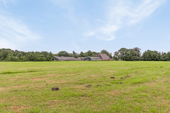 Foto 31 van Westerein 32