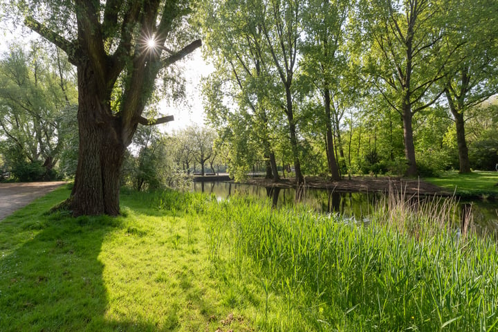 Bekijk foto 30 van Wamberg 83