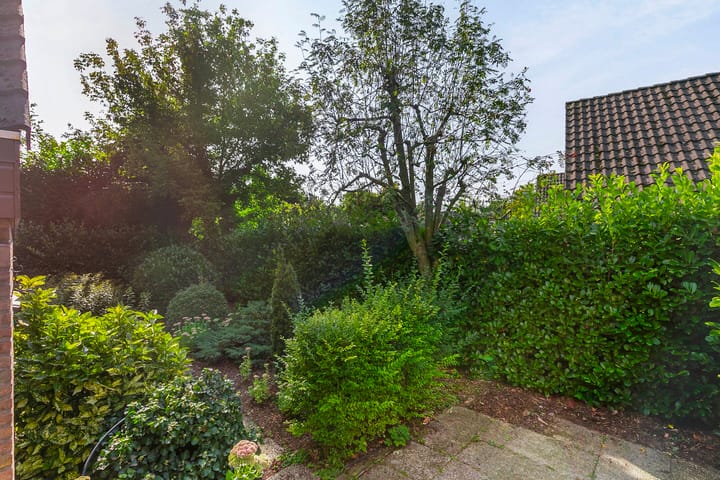 Foto 35 van Hemstea 10-A