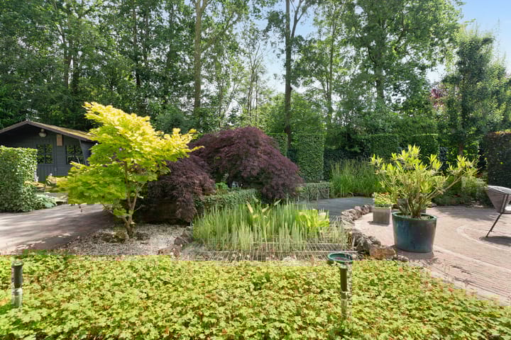 Foto 38 van Hogevaert 7