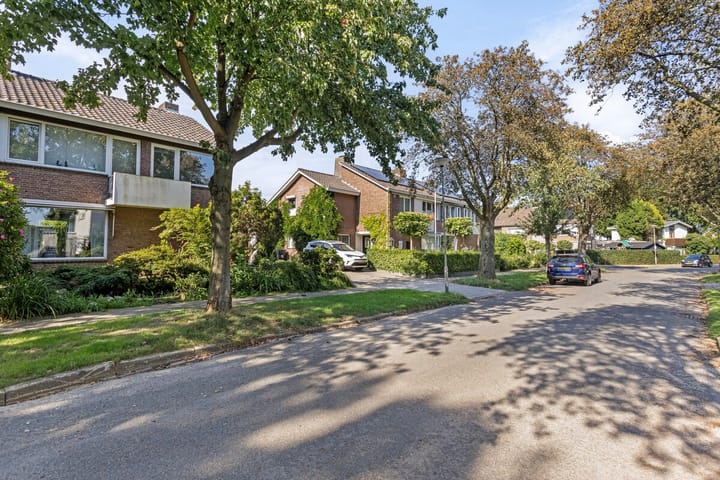 Foto 2 van Einthovenstraat 3