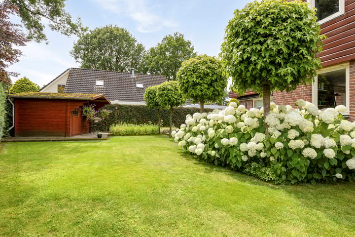 Foto 23 van Breemösstraat 6