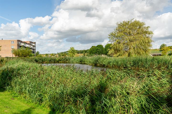 Bekijk foto 35 van Sandelhout 1