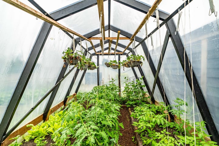 Foto 20 van Herenweg 322