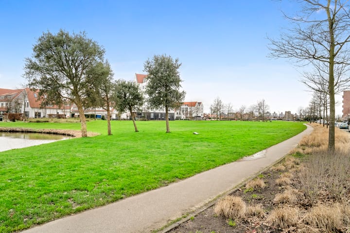 Foto 50 van Mexicosingel 60