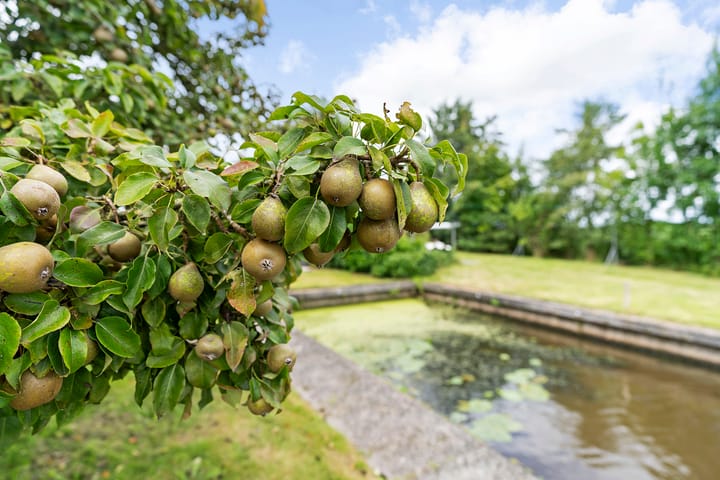 Foto 68 van Bartlehiem F 73